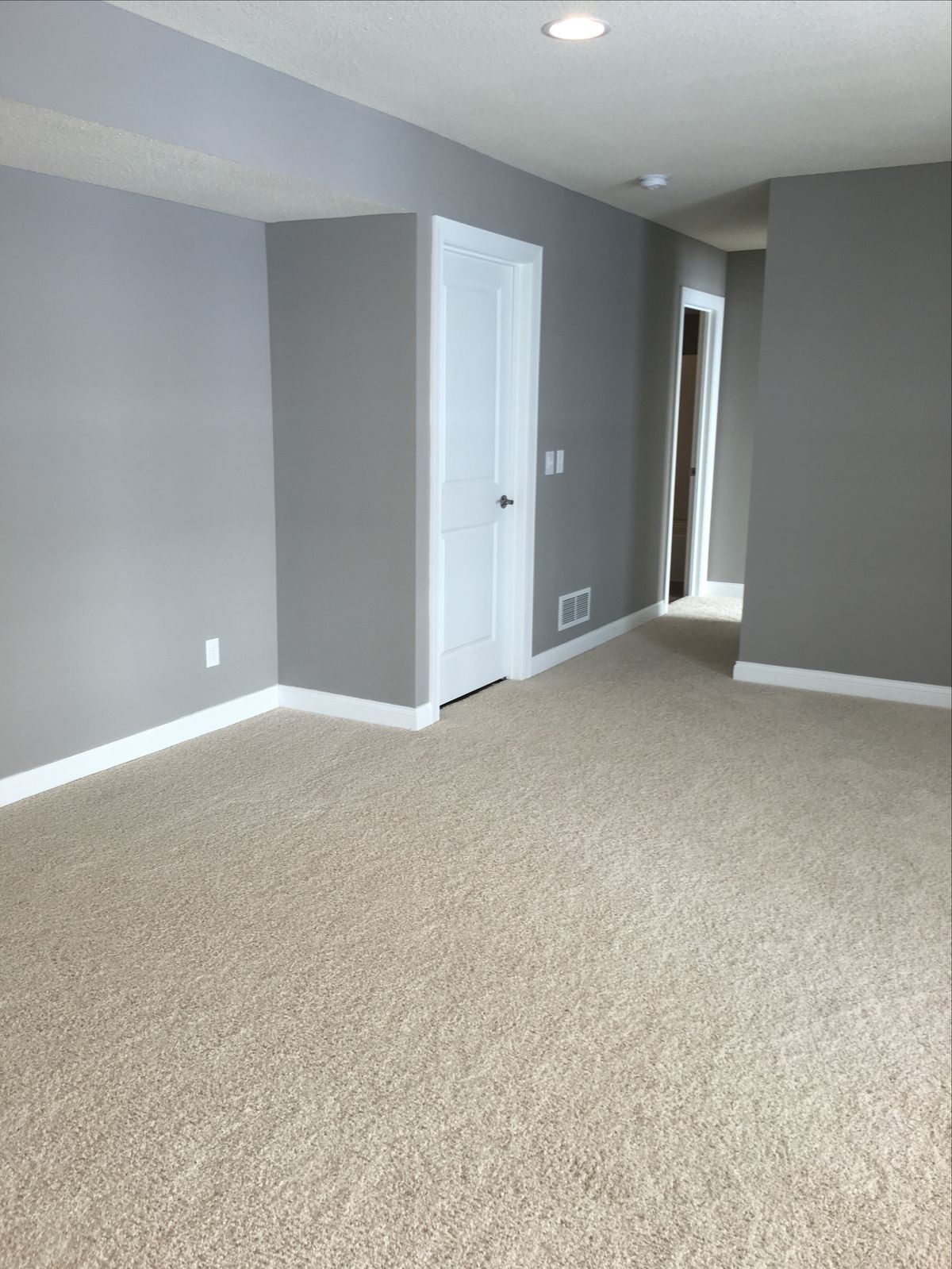 Cabinet painting and built-in shelving