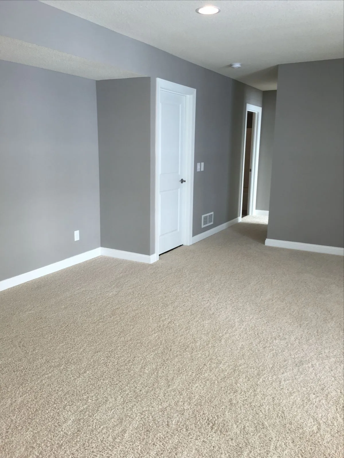 Cabinet painting and built-in shelving