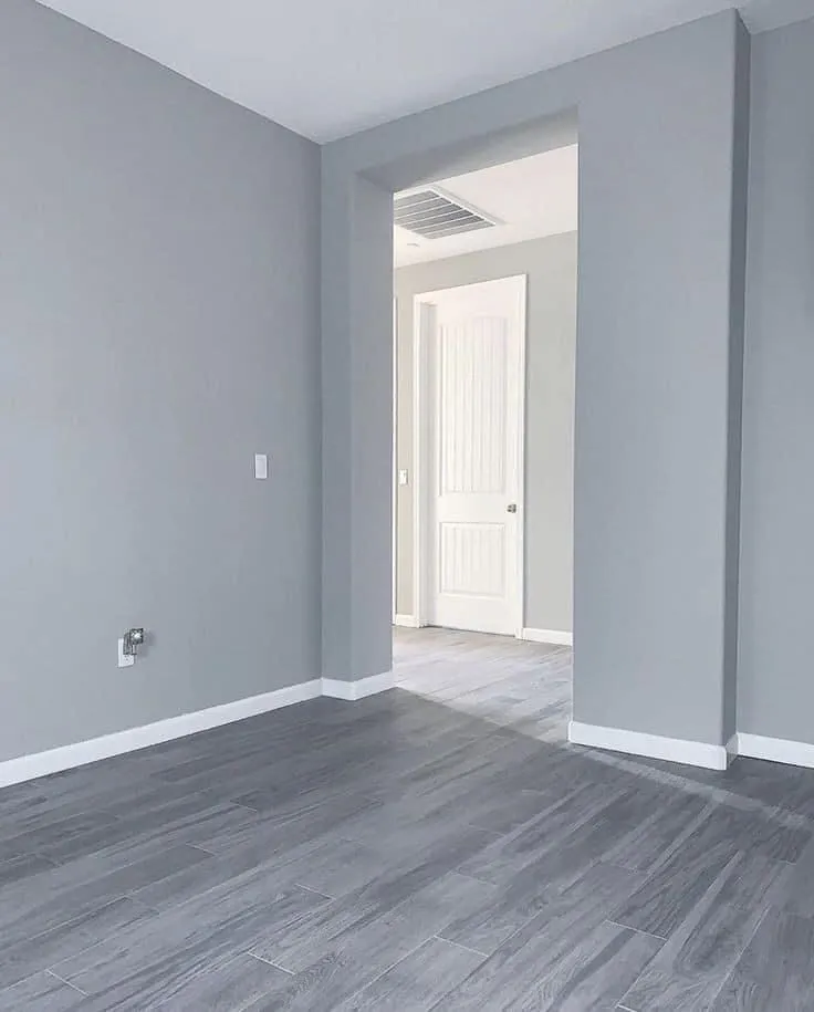 Walls and ceiling painting — living room and bedroom