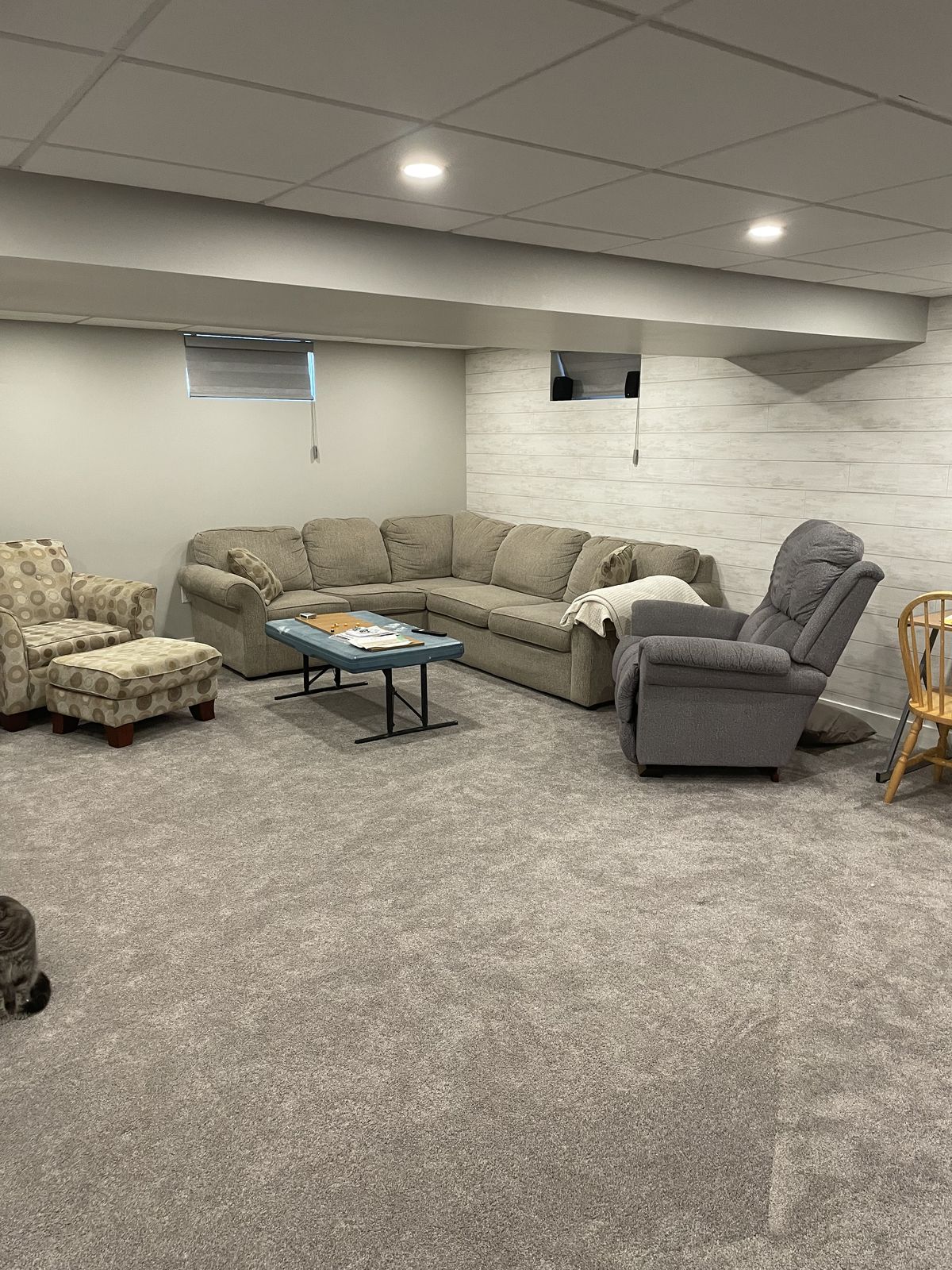 Carpeted basement suite family room with sectional