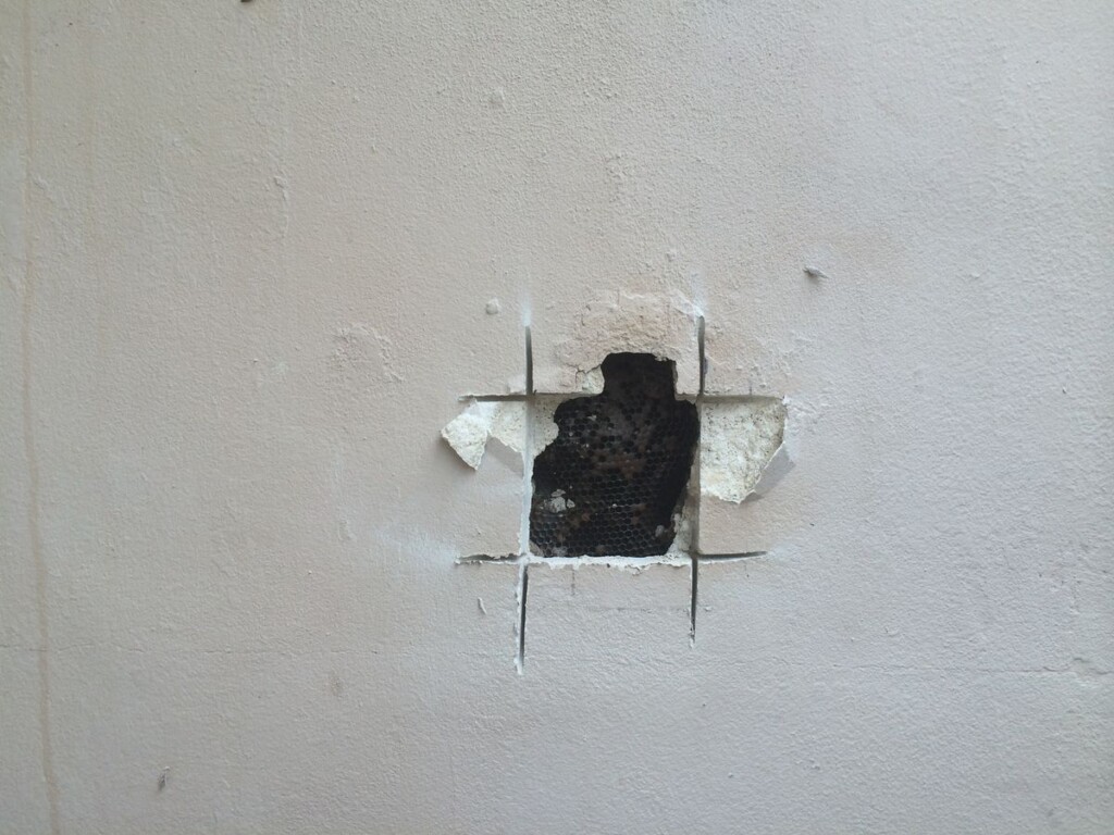 Plaster vs Drywall in Older Ontario Homes: Repair, Skim-Coat or Replace?