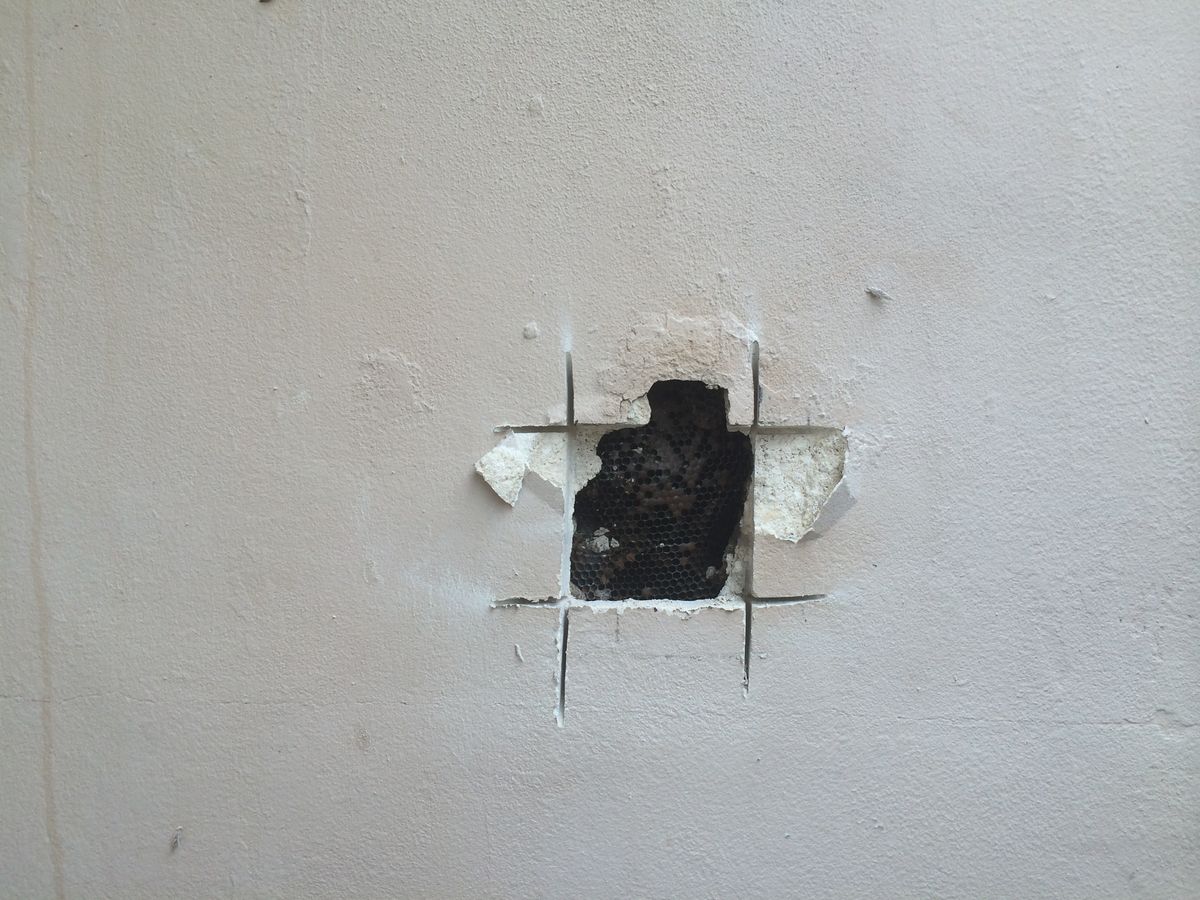 Old plaster wall with wire lath opened for repair in a Hamilton century home in Hamilton