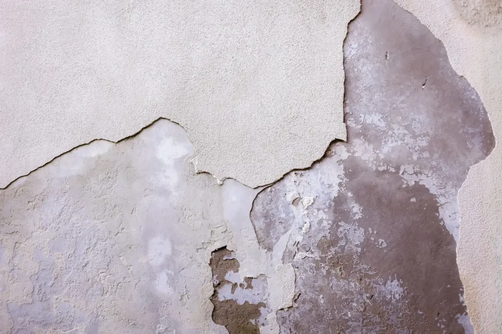 Water-Damaged Drywall and Ceilings: Repair or Replace? A Homeowner’s Guide (2026)